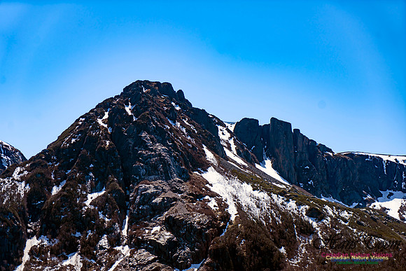 Western Brook Pond 154