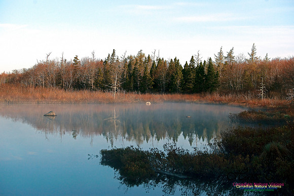 Jerry Lawrence Provincial Park Morning Mist
