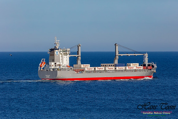 Tropic Hope 1