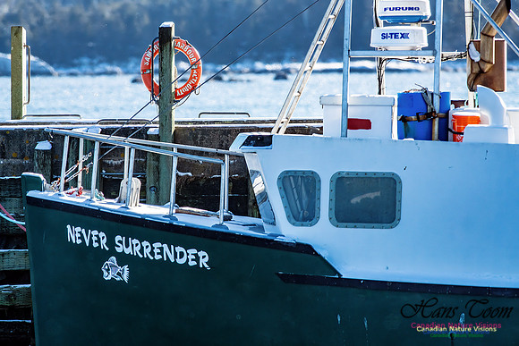Nova Scotia Winter Scenes 103