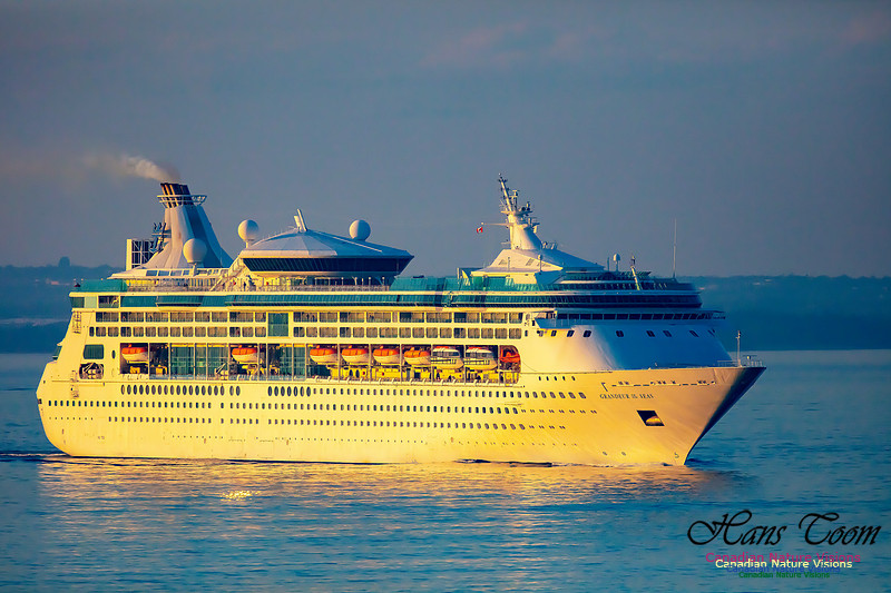 Grandeur of the Seas 101