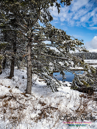 April Snow in Nova Scotia 211