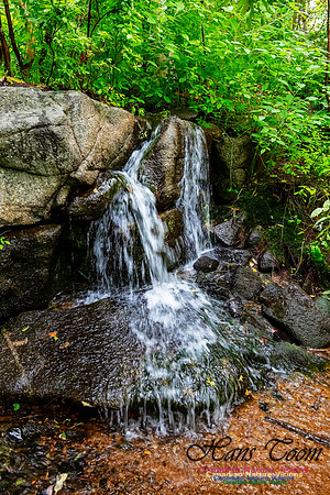 Woodland Waterfall 101