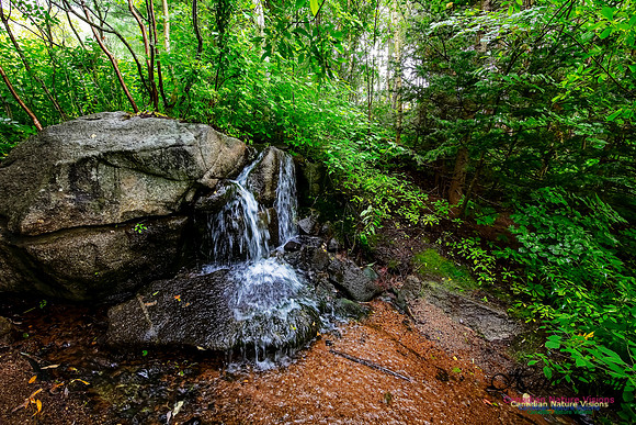 Woodland Waterfall 100