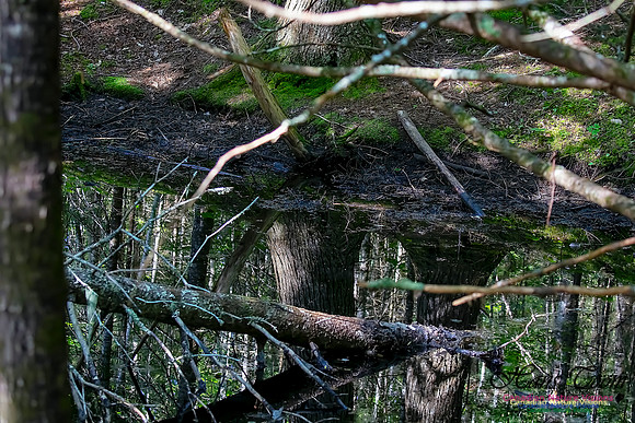Reflections 102