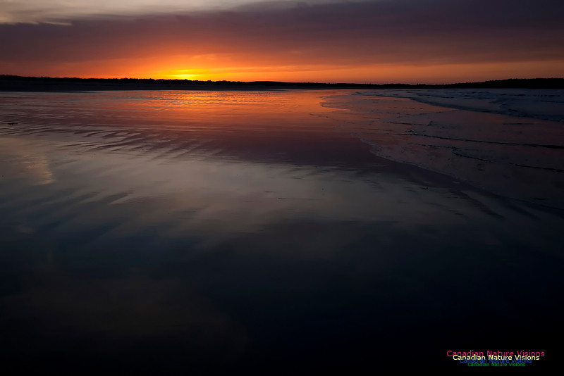 Martinique Beach Sunrise 109