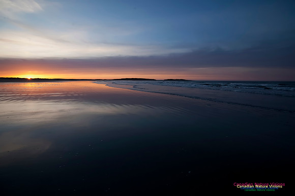 Martinique Beach Sunrise 106
