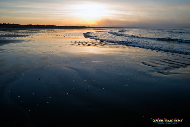 Martinique Beach Sunrise 102