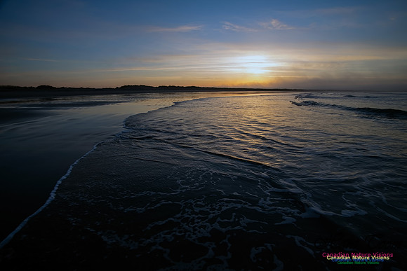 Martinique Beach Sunrise 101