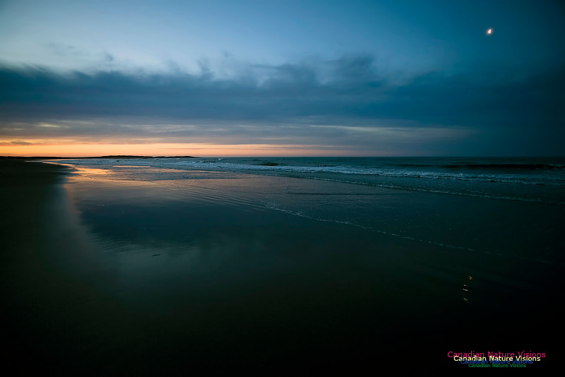 Martinique Beach Sunrise 118