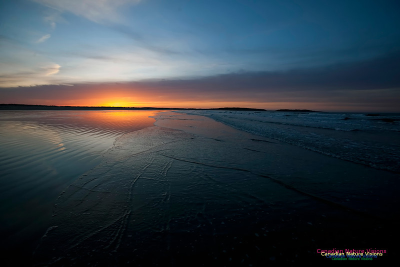 Martinique Beach Sunrise 117