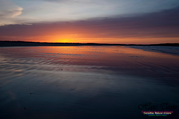Martinique Beach Sunrise 115