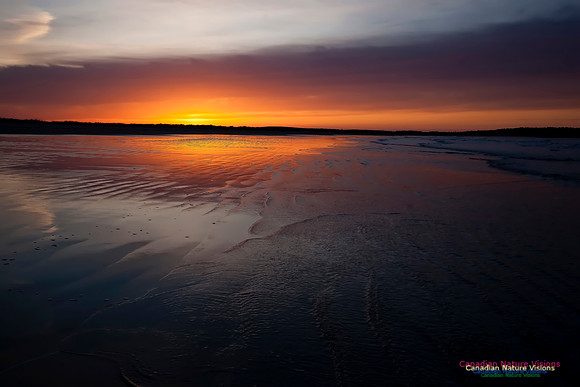 Martinique Beach Sunrise 113
