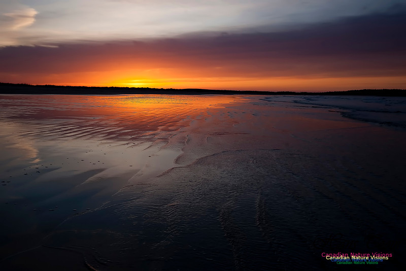 Martinique Beach Sunrise 113