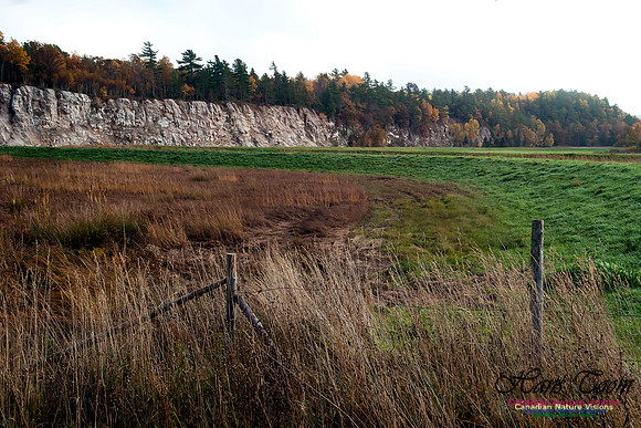 West Hants County Fall Colours