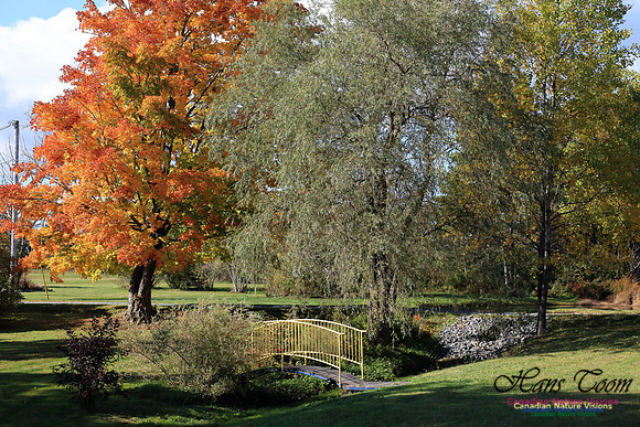 FallColours2016-1036