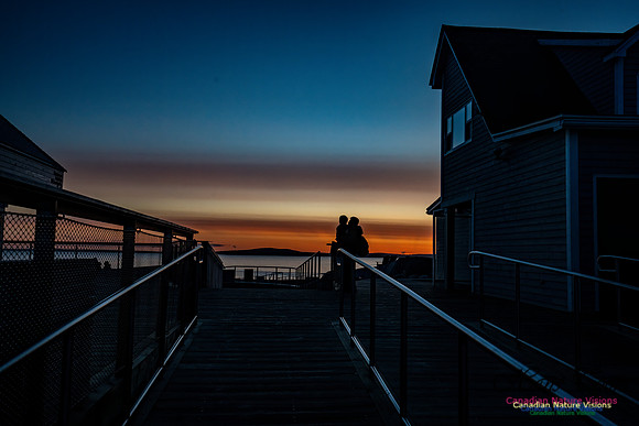 Peggy's Cove Sunset 707