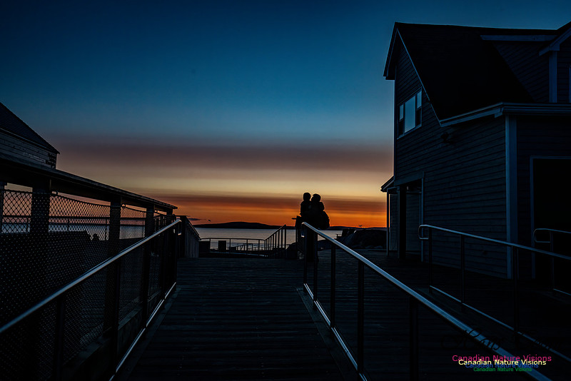 Peggy's Cove Sunset 707