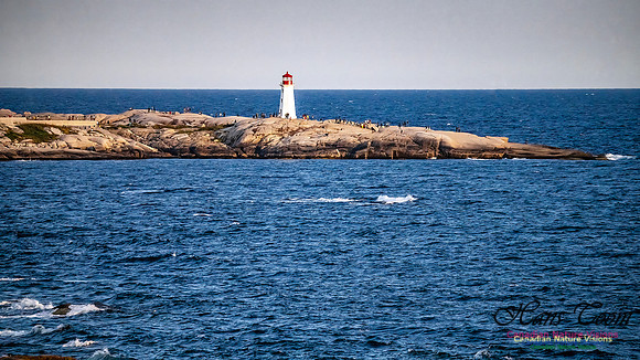 Peggy's Cove from Swiss Air Memorial 101
