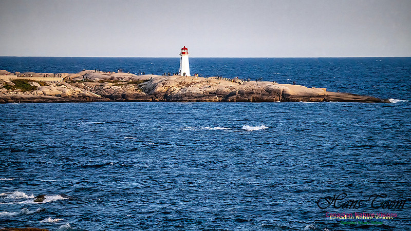 Peggy's Cove from Swiss Air Memorial 101