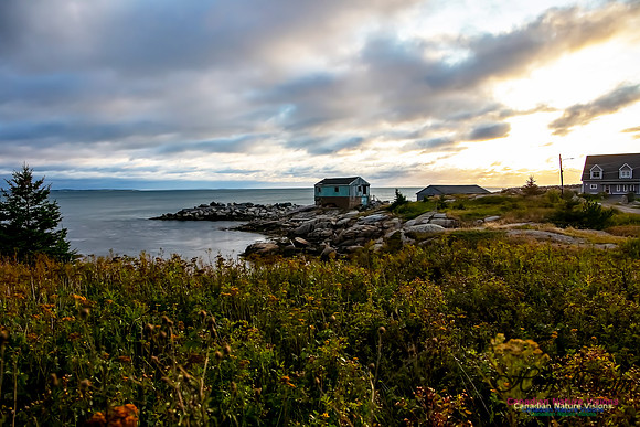 Portuguese Cove 10