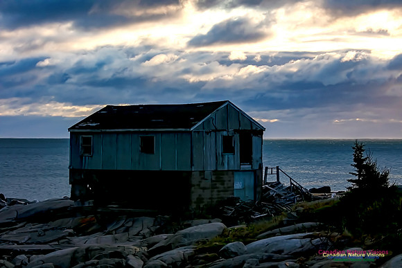 Portuguese Cove 11