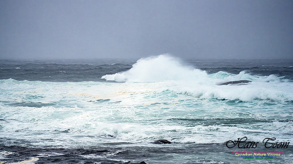 Nova Scotia Gale 2024-09-07 148