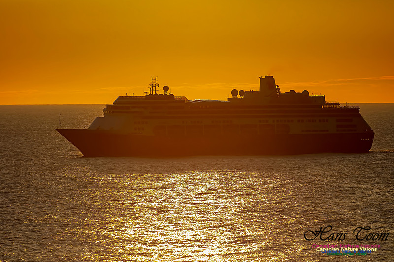 Zaandam 102