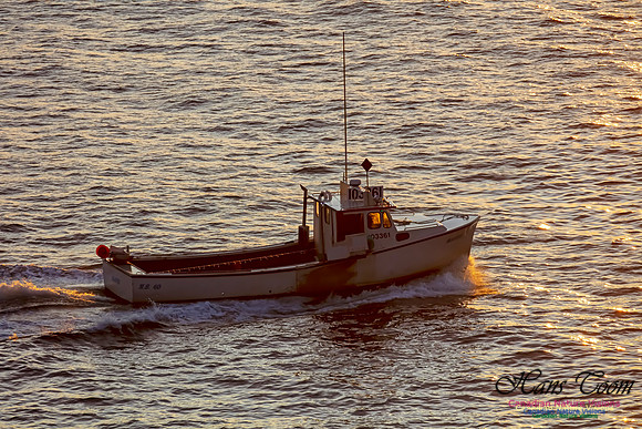 103361 Fishing Boat 1