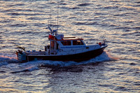 Blue Shark Charters 1