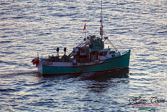 Long Liner 108828 1