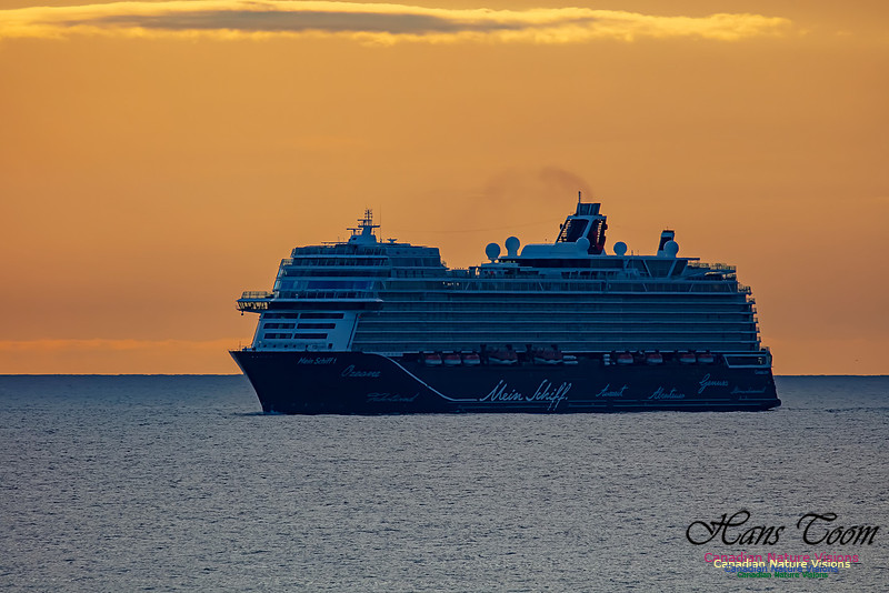 Mein Schiff 101