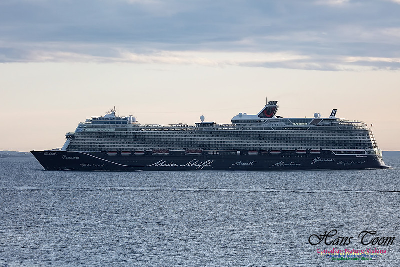 Mein Schiff 102