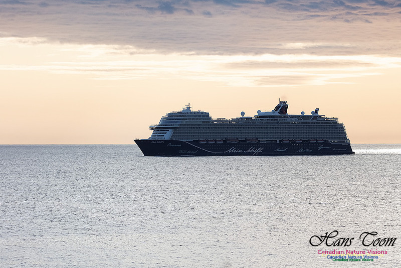 Mein Schiff 103