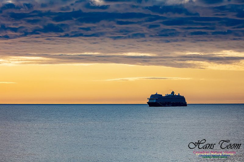 Mein Schiff 104