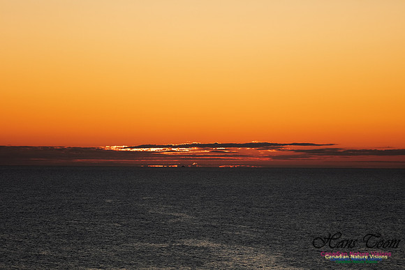 Sunrise over the Atlantic 103