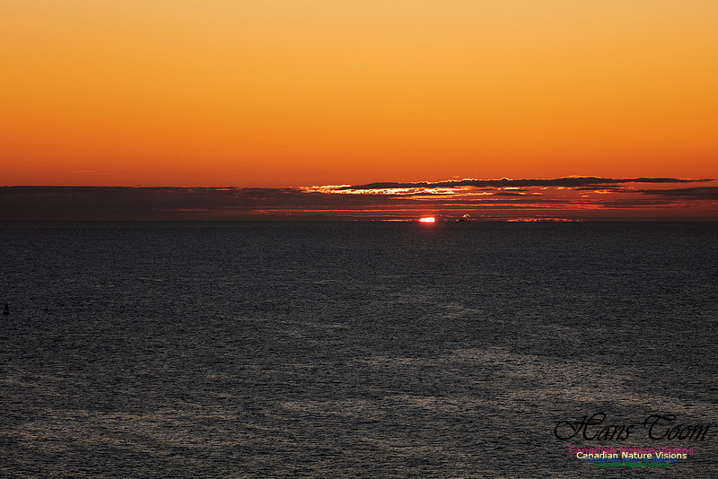 Sunrise over the Atlantic 102