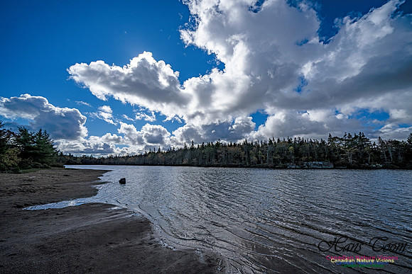 Sambro Loop 125