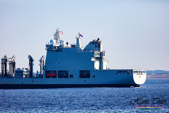 MV Asterix 101