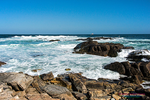 Duncan Reef
