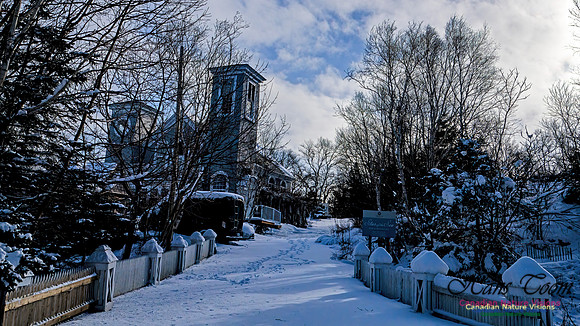 Snow Day 110