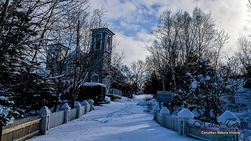 Snow Day 110