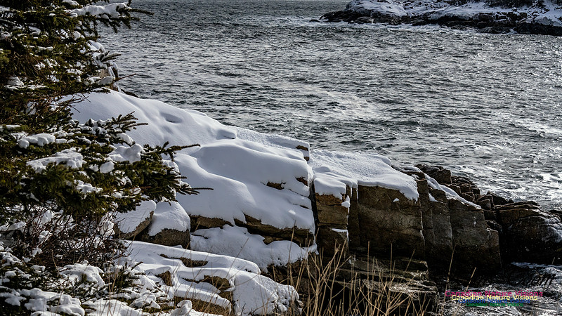 Snow Day 114