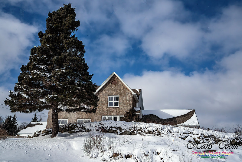Snow Day 118