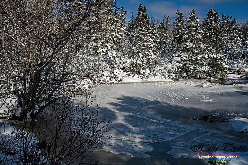 Snow Day 124