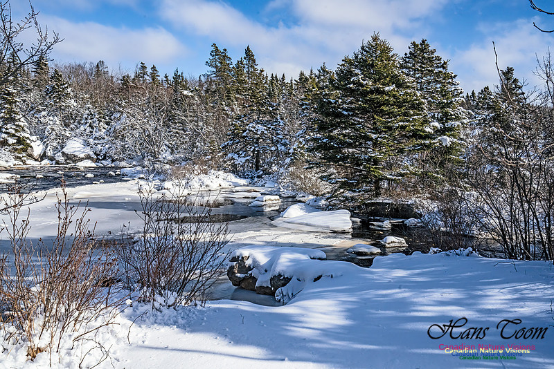 Snow Day 125