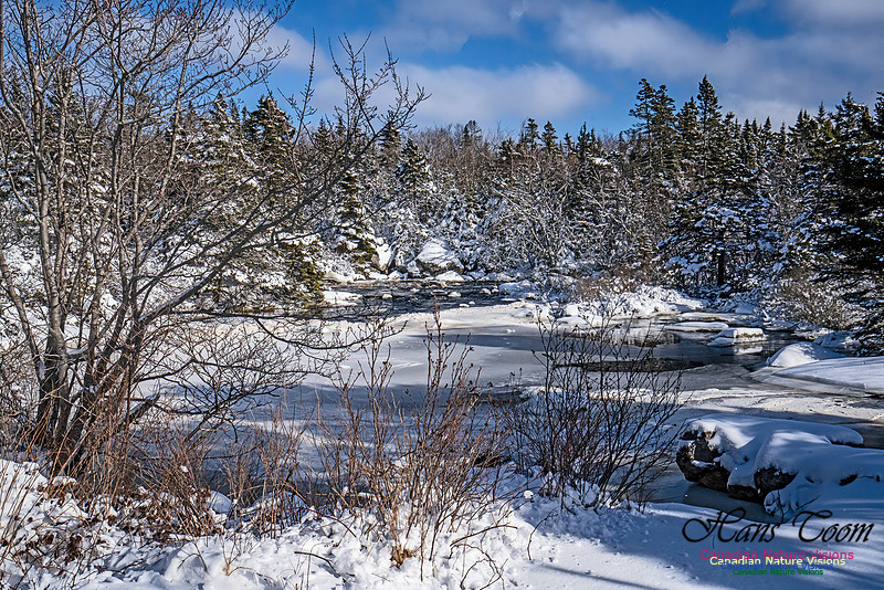 Snow Day 126