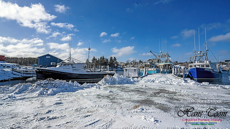 Snow Day 131