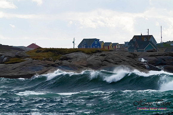 Peggys Cove Blustery Day 105