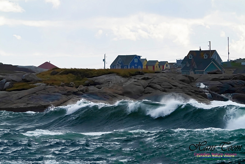 Peggys Cove Blustery Day 105